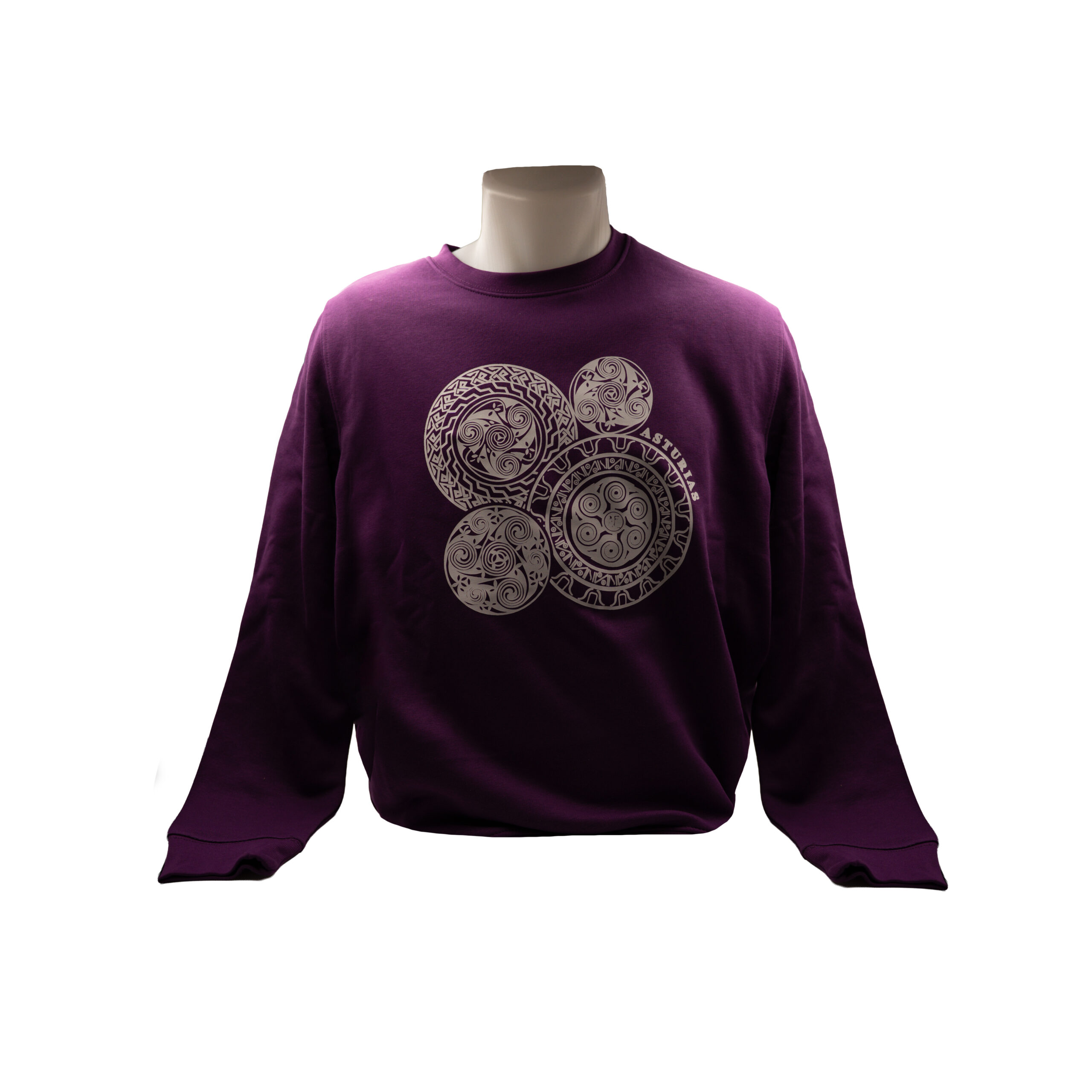 Sudadera infantil Trisquel Franjas vista frontal | Asturias Encantada