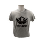 Camiseta gris Logo Asturias vista frontal | Asturias Encantada